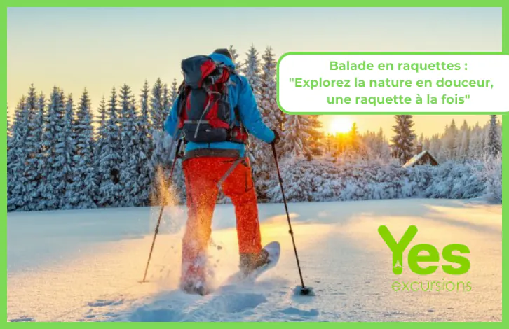 Ballade en raquettes